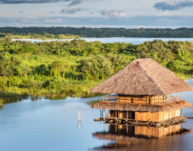 Cobertura en la Selva Peruana